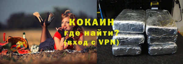 мет Алексин