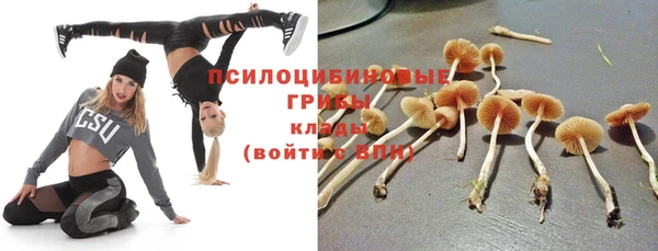трава Алзамай